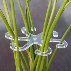 Invisible Gardening Plant Holder