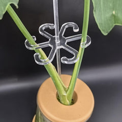 Invisible Gardening Plant Holder