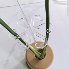 Invisible Gardening Plant Holder